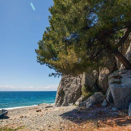Comfortable Apartment Near The Central Beach Nea Skioni Exterior foto